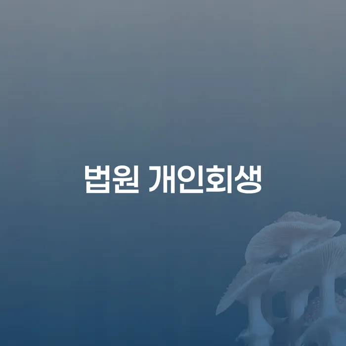 카톡상담 개인회생 개인회생 제도 직접 물어보고