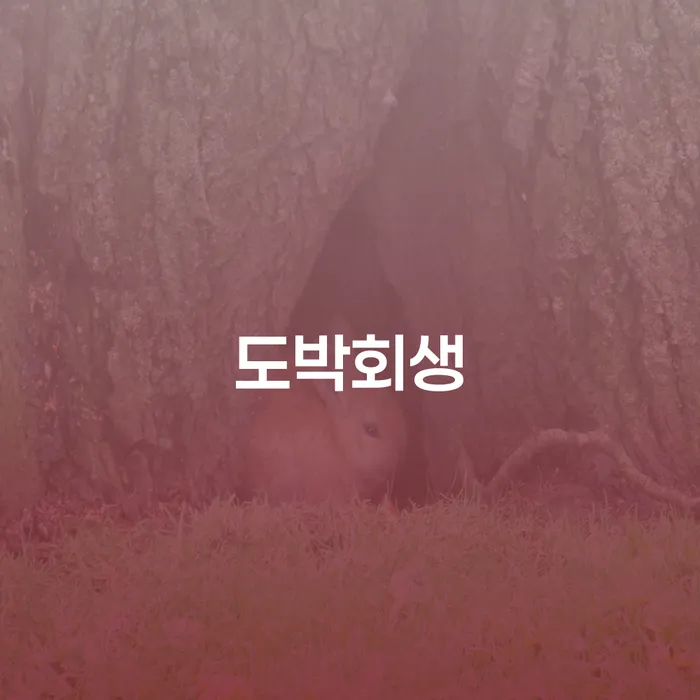 면책금 개인파산 성공하려면