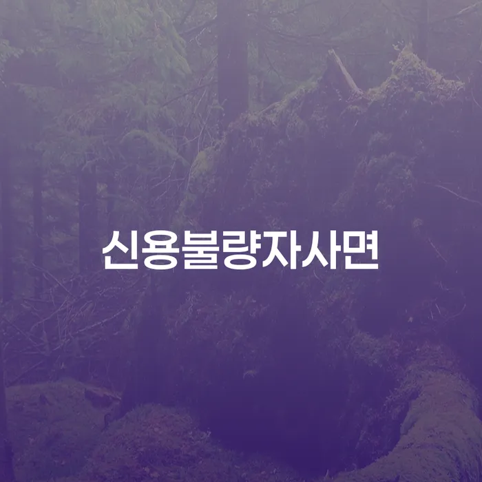 파산신청상담 대출 연체 개인회생 진행할 때 꼭 알아야 할