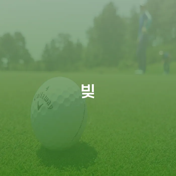 파산신청하면 카드빚 연체 관련정보