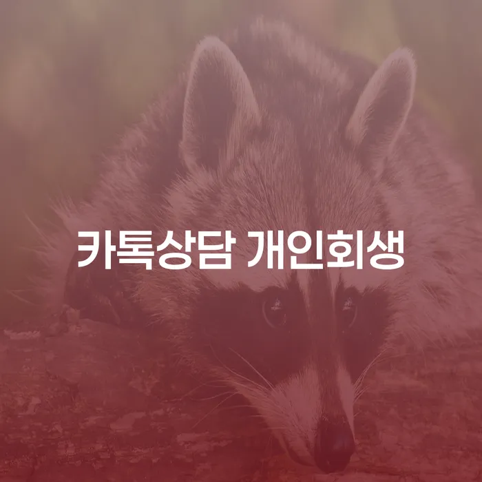 직장인채무통합 개인회생으로 현명하게 잘하는 변호사