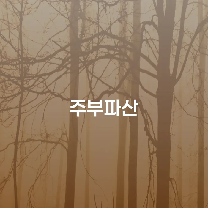 개인회생변호사 개인회생으로 현명하게 채무조정제도를 이용