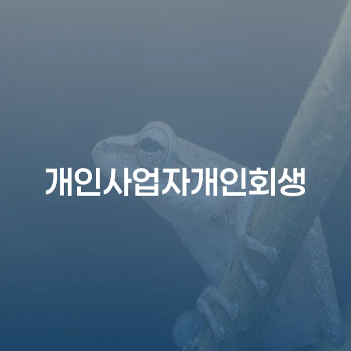 도박빚 개인회생 제도 해결 방법 알려드려요.