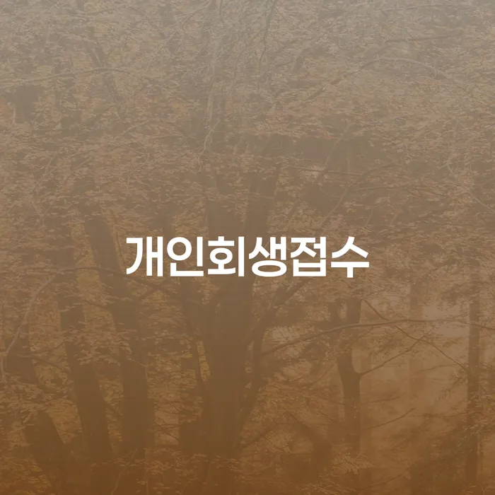 카드값대출 연체 시 개인회생으로 현명하게 비교해보기