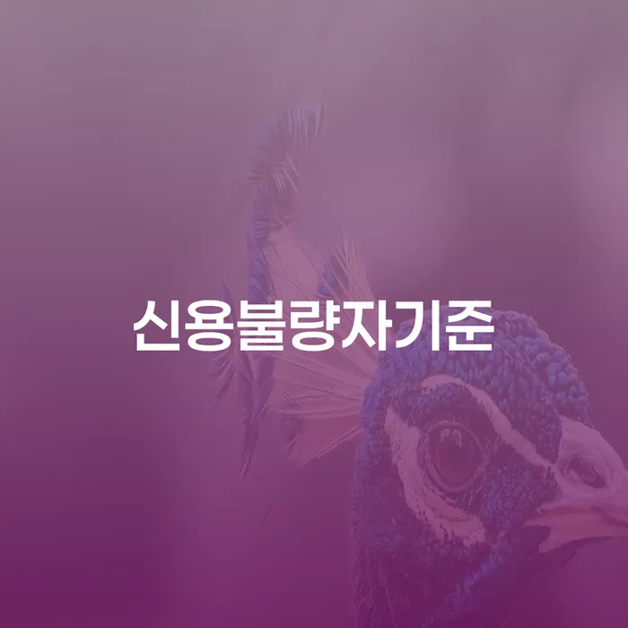 신용대출햇살론 연체 시 개인회생 신청조차