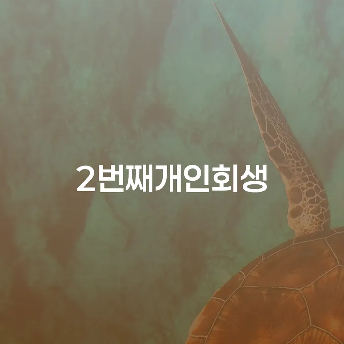 강릉시 개인회생탕감 빚 합법적인 빠른방법 확실한 진행
