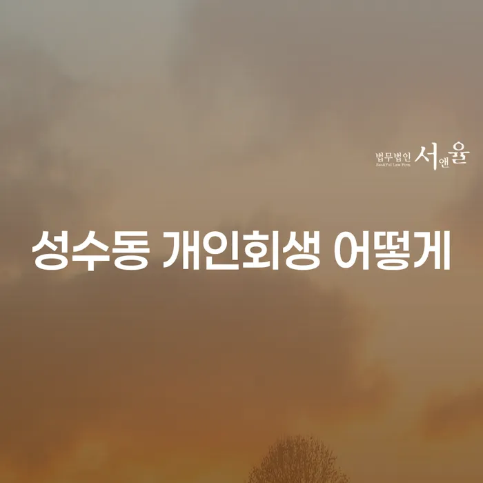 성수동 개인회생 어떻게
