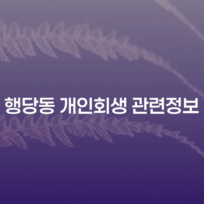 행당동 개인회생 관련정보