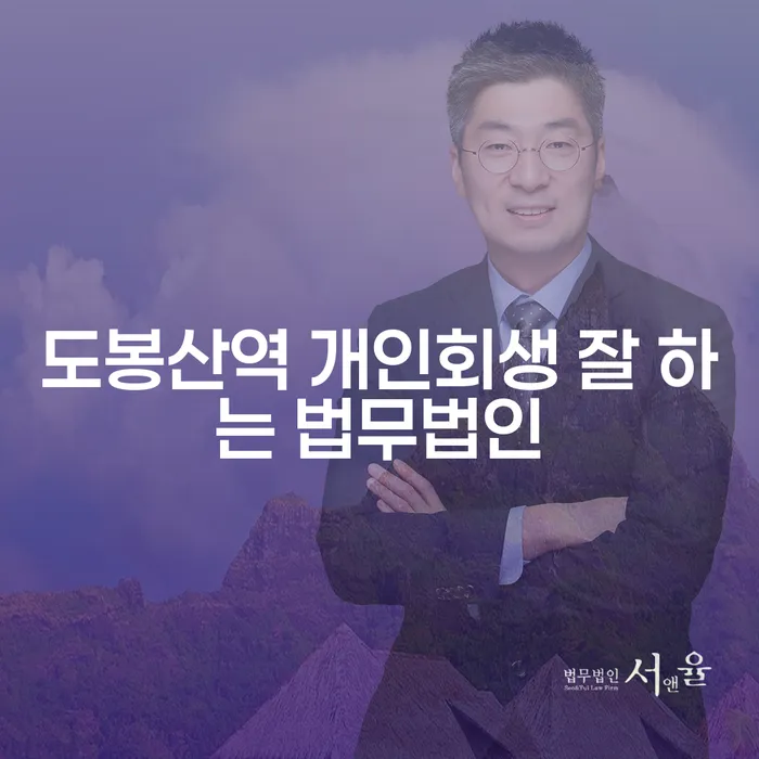 도봉산역 개인회생 잘 하는 법무법인
