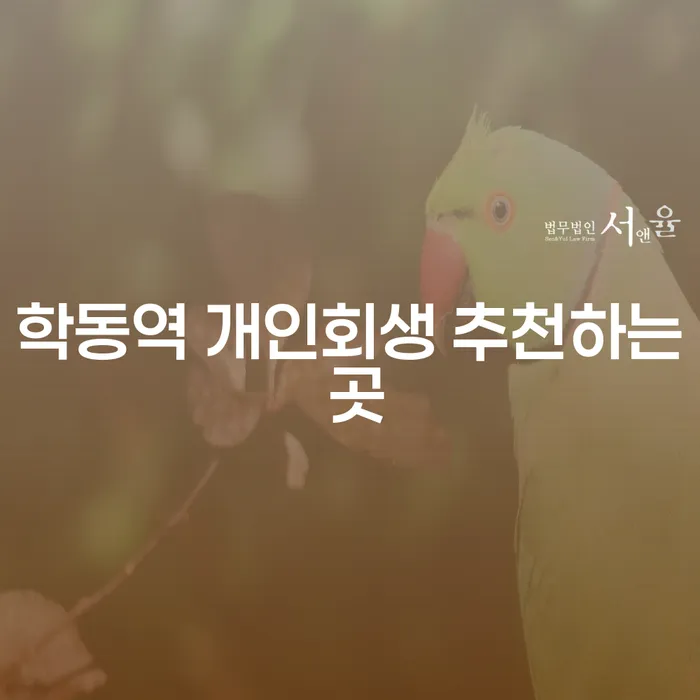 학동역 개인회생 추천하는 곳