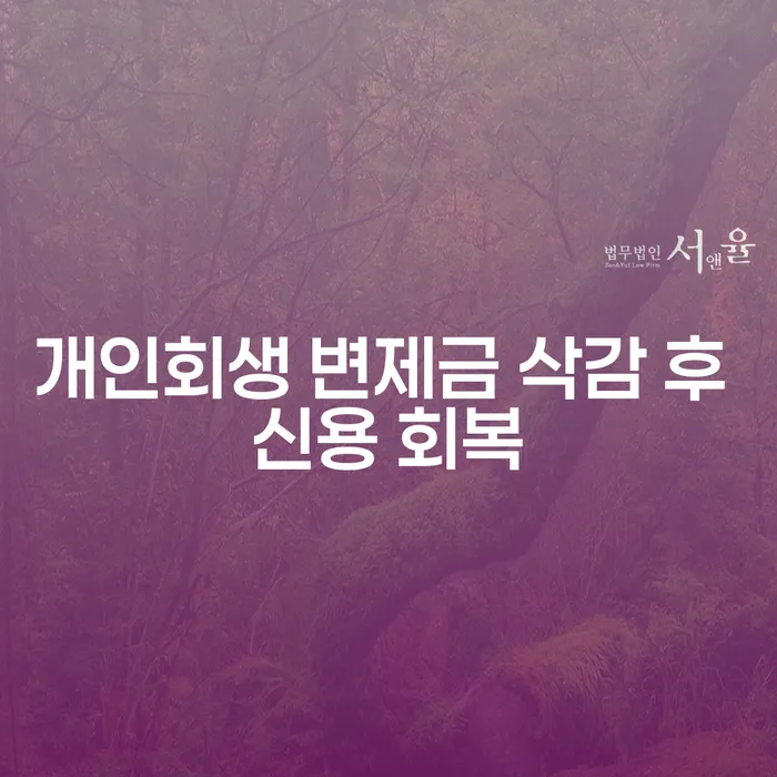 개인회생 변제금 삭감 후 신용 회복, 무엇이 필요할까요?