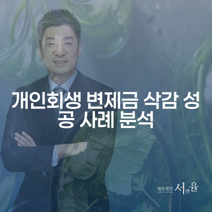 개인회생 변제금 삭감 사례, 어떻게 성공할 수 있을까요?