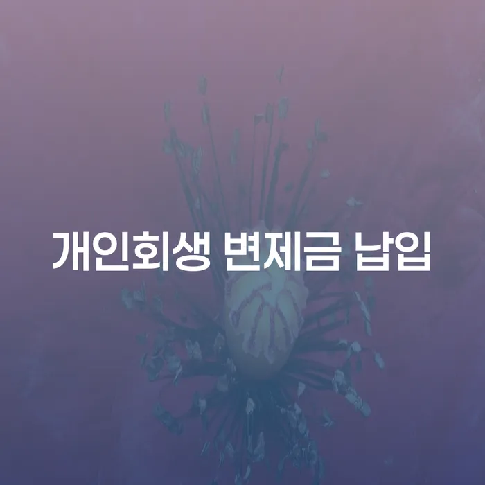 개인회생 변제금 납입, 어떻게 해야 할까요?