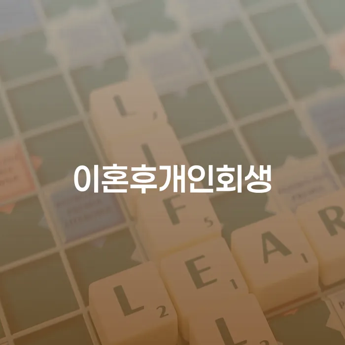 이혼 후 개인회생, 나주시에서 가능한가요?